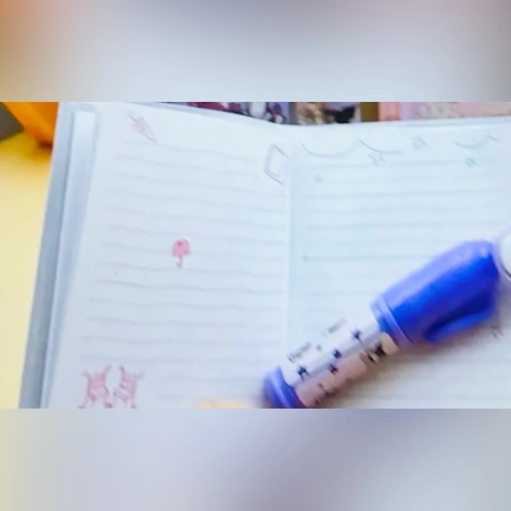 kuromi mini Diary set with ballpoint pen and zip coin wallet purple